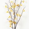 Artificial Branch fruit Fruit 8 single stem GS-57723009-Y1_6 Artificial Branch fruit 10*10*120cm Fruit *8 single stem GS-57723009-Y1 Single Flowers YeahFlower is one of Chinese leading OEM manufacturers and exporters , supplying the silk flowers, wholesale artificial trees