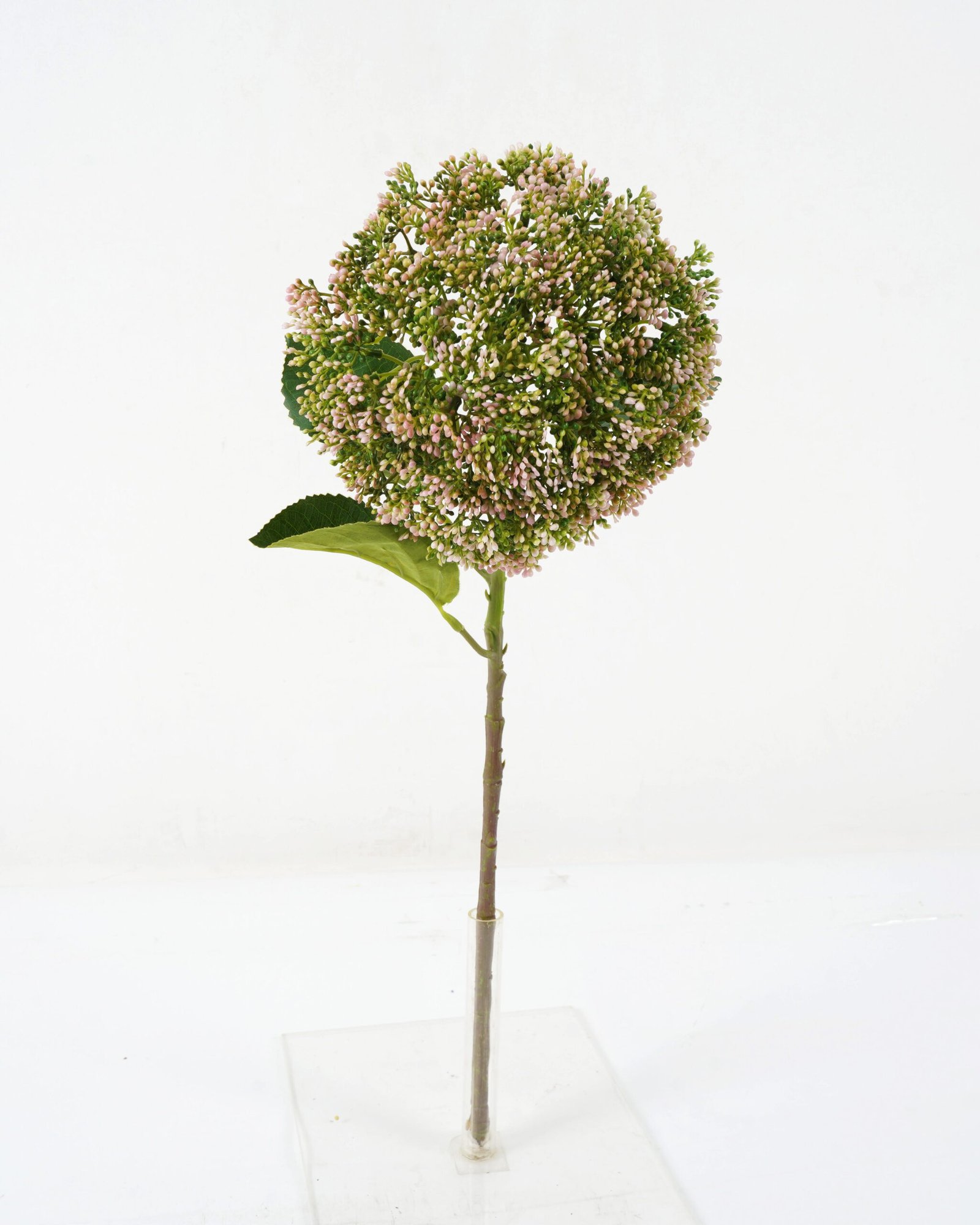 Artificial Flower 20*56cm Aglaia GS-51619005-P1 Single Flowers YeahFlower is one of Chinese leading OEM manufacturers and exporters , supplying the silk flowers, wholesale artificial trees Artificial Flower 20*56cm Aglaia GS-51619005-P1 Single Flowers YeahFlower is one of Chinese leading OEM manufacturers and exporters , supplying the silk flowers, wholesale artificial trees