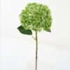 Artificial Flower 20*56cm Aglaia GS-51619005-P1 Single Flowers YeahFlower is one of Chinese leading OEM manufacturers and exporters , supplying the silk flowers, wholesale artificial trees