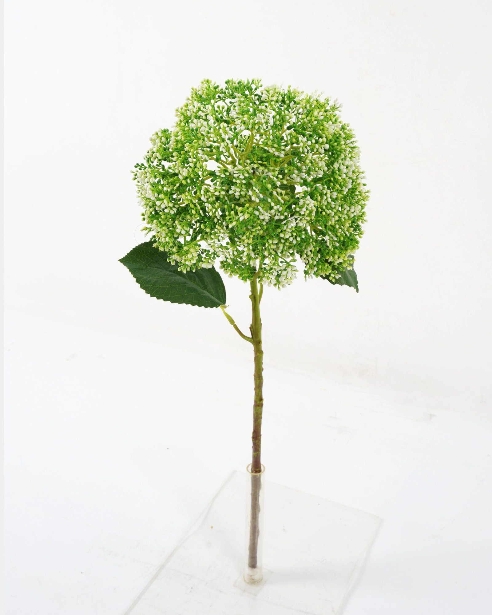 Artificial Flower 20*56cm Aglaia GS-51619005-P1 Single Flowers YeahFlower is one of Chinese leading OEM manufacturers and exporters , supplying the silk flowers, wholesale artificial trees Artificial Flower 20*56cm Aglaia GS-51619005-P1 Single Flowers YeahFlower is one of Chinese leading OEM manufacturers and exporters , supplying the silk flowers, wholesale artificial trees