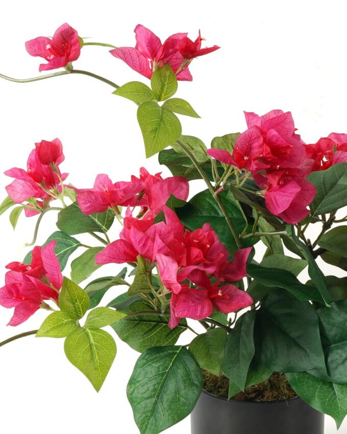 Artificial Flower 75*75*44cm Azalea in PP pot /lvs188 *19 flower GS-30623005 Potted Flowers&Plants YeahFlower is one of Chinese leading OEM manufacturers and exporters , supplying the silk flowers, wholesale artificial trees