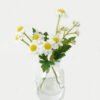 Artificial Flower 8*6*15cm Chamomile  in glass ware GS-16823029-W1 Potted Flowers&Plants YeahFlower is one of Chinese leading OEM manufacturers and exporters , supplying the silk flowers, wholesale artificial trees