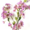 Artificial Flower 33*33*122cm Crape myrtle *5 single stem GS-27923006-P1 Single Flowers YeahFlower is one of Chinese leading OEM manufacturers and exporters , supplying the silk flowers, wholesale artificial trees