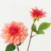 Artificial Flower Dahlia 2 moist real touch single stem GS-46123004-P1_1 Artificial Flower 18*18*60cm Dahlia *2 moist real touch single stem GS-46123004-P1 Single Flowers YeahFlower is one of Chinese leading OEM manufacturers and exporters , supplying the silk flowers, wholesale artificial trees