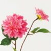 Artificial Flower Dahlia 2 moist real touch single stem GS-46123004-R1_6 Artificial Flower 18*18*60cm Dahlia *2 moist real touch single stem GS-46123004-R1 Single Flowers YeahFlower is one of Chinese leading OEM manufacturers and exporters , supplying the silk flowers, wholesale artificial trees
