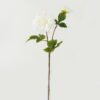 Artificial Flower Dahlia 2 moist real touch single stem GS-46123004-W2_3 Artificial Flower 18*18*60cm Dahlia *2 moist real touch single stem GS-46123004-W2 Single Flowers YeahFlower is one of Chinese leading OEM manufacturers and exporters , supplying the silk flowers, wholesale artificial trees