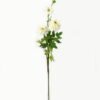 Artificial Flower Dahlia 3 single stem GS-27923017-W1 Artificial Flower 23*23*102cm Dahlia *3 single stem GS-27923017-W1 Single Flowers YeahFlower is one of Chinese leading OEM manufacturers and exporters , supplying the silk flowers, wholesale artificial trees