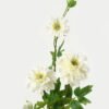 Artificial Flower Dahlia 3 single stem GS-27923017-W1_1 Artificial Flower 23*23*102cm Dahlia *3 single stem GS-27923017-W1 Single Flowers YeahFlower is one of Chinese leading OEM manufacturers and exporters , supplying the silk flowers, wholesale artificial trees