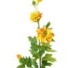 Artificial Flower Dahlia 3 single stem GS-27923018_2 Artificial Flower 20*20*102cm Dahlia *3 single stem GS-27923018 Single Flowers YeahFlower is one of Chinese leading OEM manufacturers and exporters , supplying the silk flowers, wholesale artificial trees