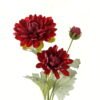 Artificial Flower 18*18*59cm Dahlia *3 single stem GS-58823012-R1 Single Flowers YeahFlower is one of Chinese leading OEM manufacturers and exporters , supplying the silk flowers, wholesale artificial trees