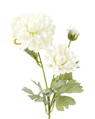 Artificial Flower 18*18*59cm Dahlia *3 single stem GS-58823012-W1 Single Flowers YeahFlower is one of Chinese leading OEM manufacturers and exporters , supplying the silk flowers, wholesale artificial trees Artificial Flower 18*18*59cm Dahlia *3 single stem GS-58823012-W1 Single Flowers YeahFlower is one of Chinese leading OEM manufacturers and exporters , supplying the silk flowers, wholesale artificial trees