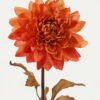 Artificial Flower 14*14*73cm Dahlia single stem(Burn the side) GS-128J23014-O1 Single Flowers YeahFlower is one of Chinese leading OEM manufacturers and exporters , supplying the silk flowers, wholesale artificial trees