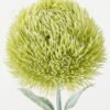 Artificial Flower 9*9*51cm Dianthus chinensis single stem GS-45623001-G2 Single Flowers YeahFlower is one of Chinese leading OEM manufacturers and exporters , supplying the silk flowers, wholesale artificial trees