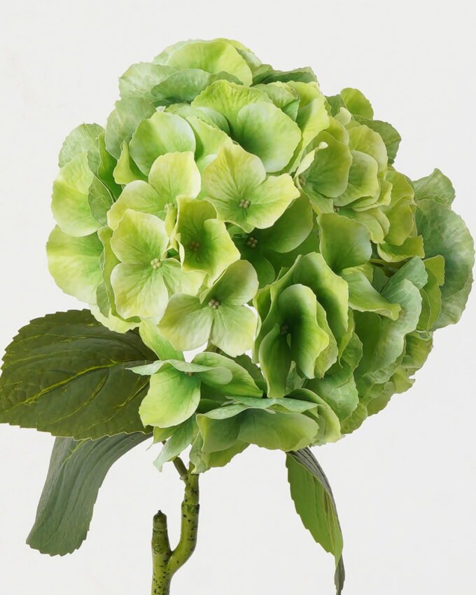 Artificial Flower 21*21*64cm Hydrangea *12 single stem GS-09823001-G1 Single Flowers YeahFlower is one of Chinese leading OEM manufacturers and exporters , supplying the silk flowers, wholesale artificial trees