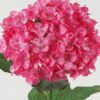 Artificial Flower Hydrangea 160 single stem GS-17723016-P2_7 Artificial Flower 30*30*88cm Hydrangea *160 single stem GS-17723016-P2 Single Flowers YeahFlower is one of Chinese leading OEM manufacturers and exporters , supplying the silk flowers, wholesale artificial trees