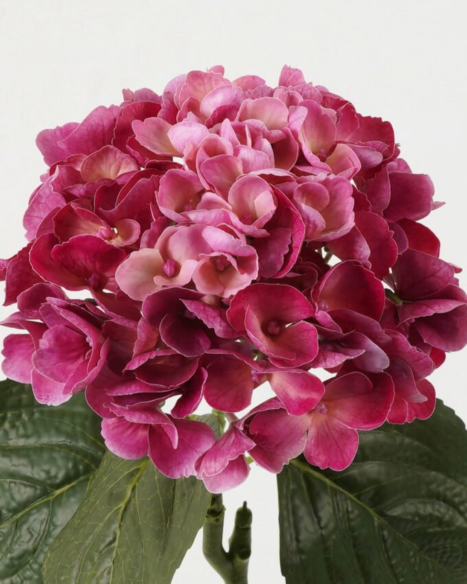 Artificial Flower 23*23*62cm Hydrangea *18 single stem GS-09823005-R1 Single Flowers YeahFlower is one of Chinese leading OEM manufacturers and exporters , supplying the silk flowers, wholesale artificial trees