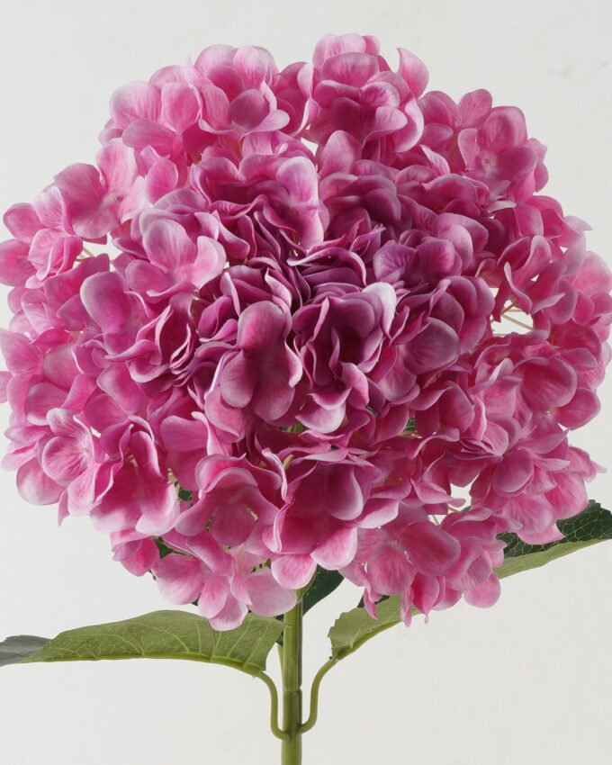 Artificial Flower Hydrangea 240 single stem GS-17723015-P1_2 Artificial Flower 30*30*90cm Hydrangea *240 single stem GS-17723015-P1 Single Flowers YeahFlower is one of Chinese leading OEM manufacturers and exporters , supplying the silk flowers, wholesale artificial trees