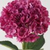 Artificial Flower Hydrangea 240 single stem GS-17723015-P3_8 Artificial Flower 30*30*90cm Hydrangea *240 single stem GS-17723015-P3 Single Flowers YeahFlower is one of Chinese leading OEM manufacturers and exporters , supplying the silk flowers, wholesale artificial trees