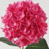 Artificial Flower 30*30*90cm Hydrangea *240 single stem GS-17723015 Single Flowers YeahFlower is one of Chinese leading OEM manufacturers and exporters , supplying the silk flowers, wholesale artificial trees