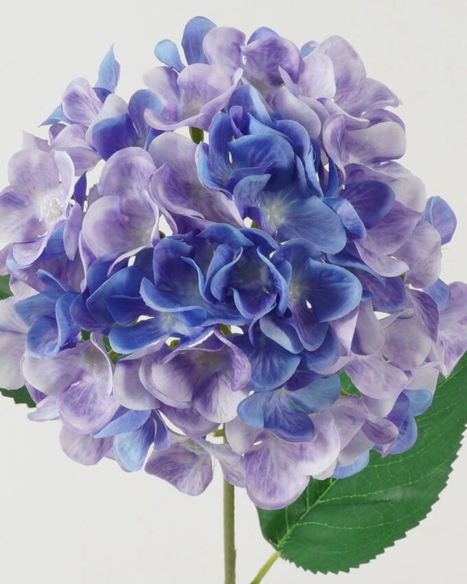 Artificial Flower Hydrangea 54 single stem GS-17723014-Z2_5 Artificial Flower 18*18*62cm Hydrangea *54 single stem GS-17723014-Z2 Single Flowers YeahFlower is one of Chinese leading OEM manufacturers and exporters , supplying the silk flowers, wholesale artificial trees