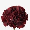 Artificial Flower 20*20*61cm Hydrangea single stem GS-58823017-R1 Single Flowers YeahFlower is one of Chinese leading OEM manufacturers and exporters , supplying the silk flowers, wholesale artificial trees