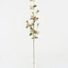 Artificial Flower 15*15*94cm Jasminum nudiflorum single stem GS-58823005 Single Flowers YeahFlower is one of Chinese leading OEM manufacturers and exporters , supplying the silk flowers, wholesale artificial trees
