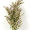 Artificial Flower Lavender single stem GS-27923007_2 Artificial Flower 16*16*100cm Lavender single stem GS-27923007 Single Flowers YeahFlower is one of Chinese leading OEM manufacturers and exporters , supplying the silk flowers, wholesale artificial trees