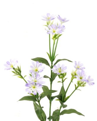 Artificial Flower 15*12*67cm Lewisia cotyledon *12 single stem GS-16823015-Z1 Single Flowers YeahFlower is one of Chinese leading OEM manufacturers and exporters , supplying the silk flowers, wholesale artificial trees Artificial Flower 15*12*67cm Lewisia cotyledon *12 single stem GS-16823015-Z1 Single Flowers YeahFlower is one of Chinese leading OEM manufacturers and exporters , supplying the silk flowers, wholesale artificial trees