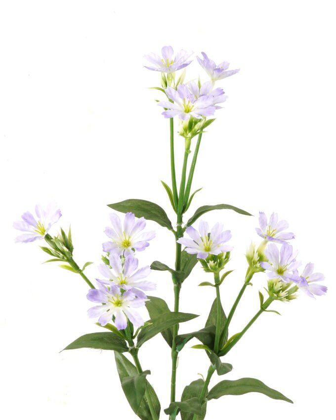 Artificial Flower 15*12*67cm Lewisia cotyledon *12 single stem GS-16823015-Z1 Single Flowers YeahFlower is one of Chinese leading OEM manufacturers and exporters , supplying the silk flowers, wholesale artificial trees