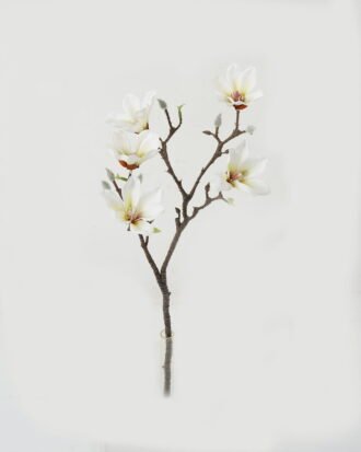 Artificial Flower 22*22*48cm Magnolia *2 single stem GS-66923015-W1 Single Flowers YeahFlower is one of Chinese leading OEM manufacturers and exporters , supplying the silk flowers, wholesale artificial trees