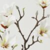 Artificial Flower 22*22*48cm Magnolia *2 single stem GS-66923015-W1 Single Flowers YeahFlower is one of Chinese leading OEM manufacturers and exporters , supplying the silk flowers, wholesale artificial trees