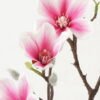 Artificial Flower 22*22*48cm Magnolia *2 single stem GS-66923015 Single Flowers YeahFlower is one of Chinese leading OEM manufacturers and exporters , supplying the silk flowers, wholesale artificial trees