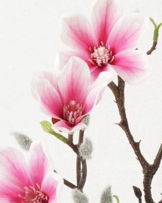 Artificial Flower 22*22*48cm Magnolia *2 single stem GS-66923015 Single Flowers YeahFlower is one of Chinese leading OEM manufacturers and exporters , supplying the silk flowers, wholesale artificial trees