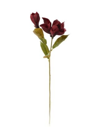 Artificial Flower 23*23*63cm Melatti *2 single stem GS-58823014-R1 Single Flowers YeahFlower is one of Chinese leading OEM manufacturers and exporters , supplying the silk flowers, wholesale artificial trees Artificial Flower 23*23*63cm Melatti *2 single stem GS-58823014-R1 Single Flowers YeahFlower is one of Chinese leading OEM manufacturers and exporters , supplying the silk flowers, wholesale artificial trees