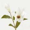 Artificial Flower Melatti 2 single stem GS-58823014-W1_6 Artificial Flower 23*23*63cm Melatti *2 single stem GS-58823014-W1 Single Flowers YeahFlower is one of Chinese leading OEM manufacturers and exporters , supplying the silk flowers, wholesale artificial trees