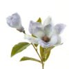 Artificial Flower Melatti 2 single stem GS-58823014_2 Artificial Flower 23*23*63cm Melatti *2 single stem GS-58823014 Single Flowers YeahFlower is one of Chinese leading OEM manufacturers and exporters , supplying the silk flowers, wholesale artificial trees
