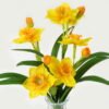 Artificial Flower 25*17*33cm Narcissus in glass ware GS-16823032-Y1 Potted Flowers&Plants YeahFlower is one of Chinese leading OEM manufacturers and exporters , supplying the silk flowers, wholesale artificial trees