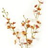 Artificial Flower 15*15*76cm Oncidium *3 single stem GS-27923016-W1 Single Flowers YeahFlower is one of Chinese leading OEM manufacturers and exporters , supplying the silk flowers, wholesale artificial trees