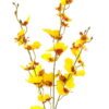 Artificial Flower Oncidium 3 single stem GS-27923016-Y1_1 Artificial Flower 15*15*76cm Oncidium *3 single stem GS-27923016-Y1 Single Flowers YeahFlower is one of Chinese leading OEM manufacturers and exporters , supplying the silk flowers, wholesale artificial trees