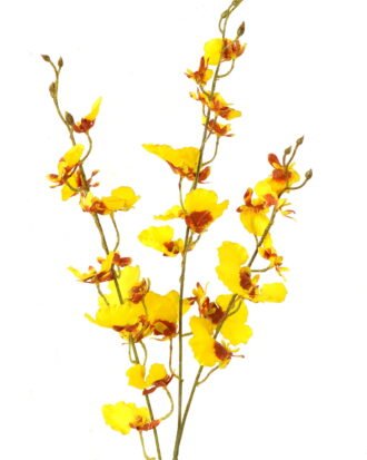Artificial Flower 15*15*76cm Oncidium *3 single stem GS-27923016-Y1 Single Flowers YeahFlower is one of Chinese leading OEM manufacturers and exporters , supplying the silk flowers, wholesale artificial trees