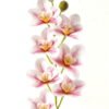 Artificial Flower 14*89cm Orchid *7 single stem GS-64923003-Z1 Single Flowers YeahFlower is one of Chinese leading OEM manufacturers and exporters , supplying the silk flowers, wholesale artificial trees