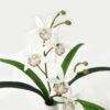 Artificial Flower 33*15*25cm  Orchid in ceramic pot GS-16823026-W1 Potted Flowers&Plants YeahFlower is one of Chinese leading OEM manufacturers and exporters , supplying the silk flowers, wholesale artificial trees