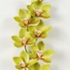 Artificial Flower 12*75cm Orchid single stem GS-64923002-G1 Single Flowers YeahFlower is one of Chinese leading OEM manufacturers and exporters , supplying the silk flowers, wholesale artificial trees