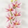 Artificial Flower 12*75cm Orchid single stem GS-64923002-P1 Single Flowers YeahFlower is one of Chinese leading OEM manufacturers and exporters , supplying the silk flowers, wholesale artificial trees