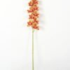 Artificial Flower 12*75cm Orchid single stem GS-64923002-R2 Single Flowers YeahFlower is one of Chinese leading OEM manufacturers and exporters , supplying the silk flowers, wholesale artificial trees