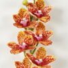 Artificial Flower 12*75cm Orchid single stem GS-64923002-R2 Single Flowers YeahFlower is one of Chinese leading OEM manufacturers and exporters , supplying the silk flowers, wholesale artificial trees