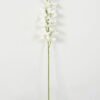 Artificial Flower Orchid single stem GS-64923002-W1_1 Artificial Flower 12*75cm Orchid single stem GS-64923002-W1 Single Flowers YeahFlower is one of Chinese leading OEM manufacturers and exporters , supplying the silk flowers, wholesale artificial trees