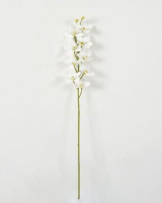 Artificial Flower 12*75cm Orchid single stem GS-64923002-W1 Single Flowers YeahFlower is one of Chinese leading OEM manufacturers and exporters , supplying the silk flowers, wholesale artificial trees Artificial Flower 12*75cm Orchid single stem GS-64923002-W1 Single Flowers YeahFlower is one of Chinese leading OEM manufacturers and exporters , supplying the silk flowers, wholesale artificial trees