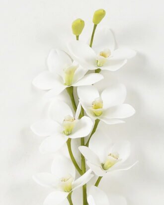 Artificial Flower 12*75cm Orchid single stem GS-64923002-W1 Single Flowers YeahFlower is one of Chinese leading OEM manufacturers and exporters , supplying the silk flowers, wholesale artificial trees Artificial Flower 12*75cm Orchid single stem GS-64923002-W1 Single Flowers YeahFlower is one of Chinese leading OEM manufacturers and exporters , supplying the silk flowers, wholesale artificial trees