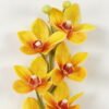 Artificial Flower Orchid single stem GS-64923002-Y1_5 Artificial Flower 12*75cm Orchid single stem GS-64923002-Y1 Single Flowers YeahFlower is one of Chinese leading OEM manufacturers and exporters , supplying the silk flowers, wholesale artificial trees